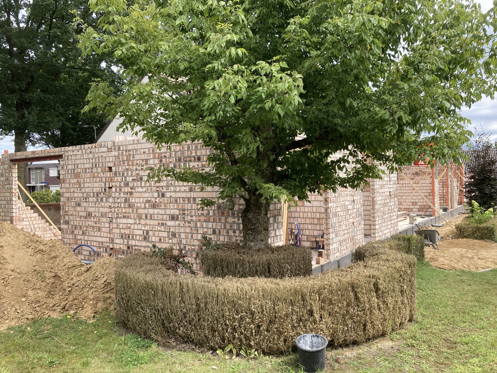 Gemetseld rondom de bestaande boom